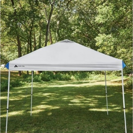 Ozark Trail 10X10 Instant Canopy Top Replacement